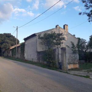 484593015 1148184520432021 3604040446347611329 N